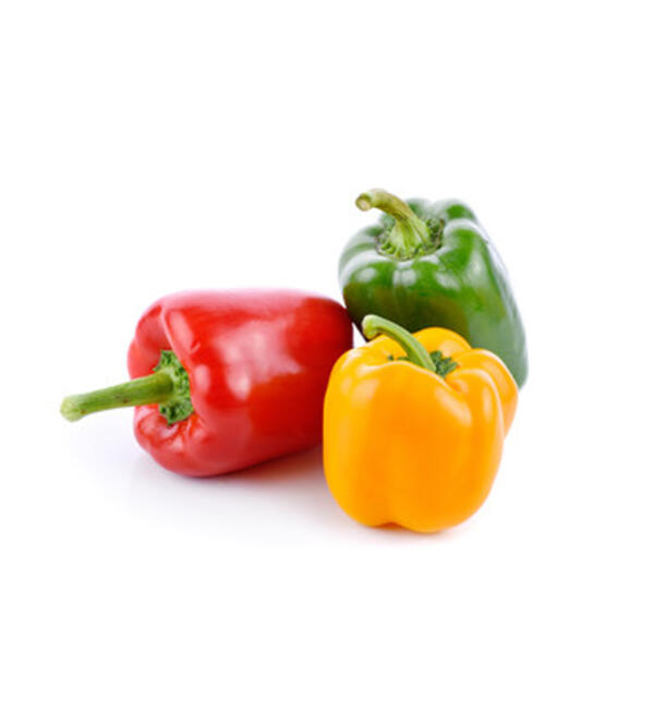 Bell Pepper