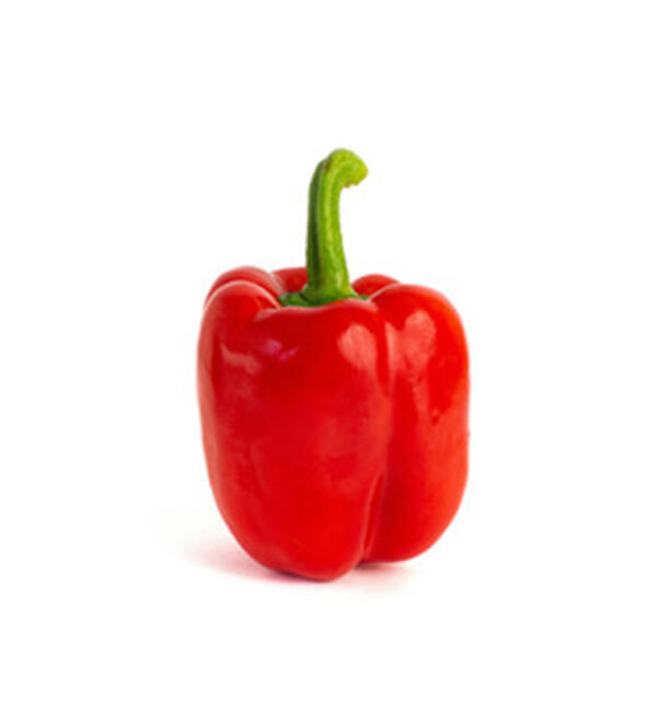 Bell Pepper - Image 5